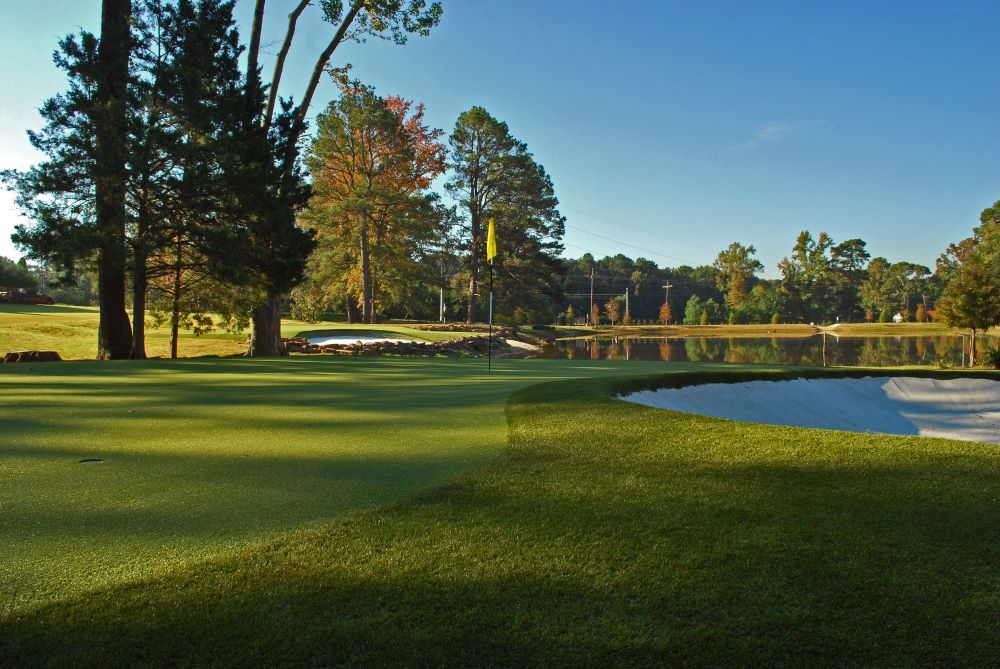 Atlanta Artificial Turf Golf Course