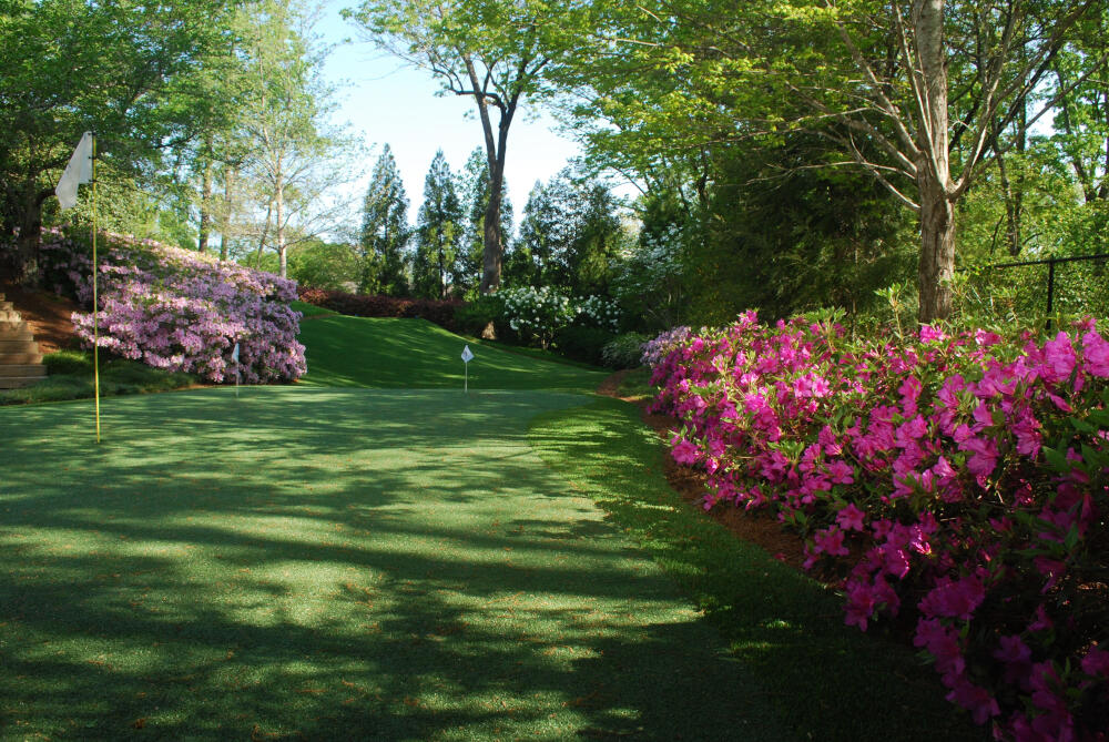 Atlanta backyard putting green grass