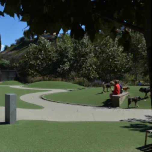 What to Consider Before You Spec a Dog Park Surface in Atlanta