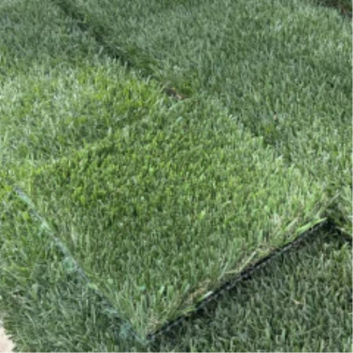 Introducing Wide Blade Turf in Atlanta