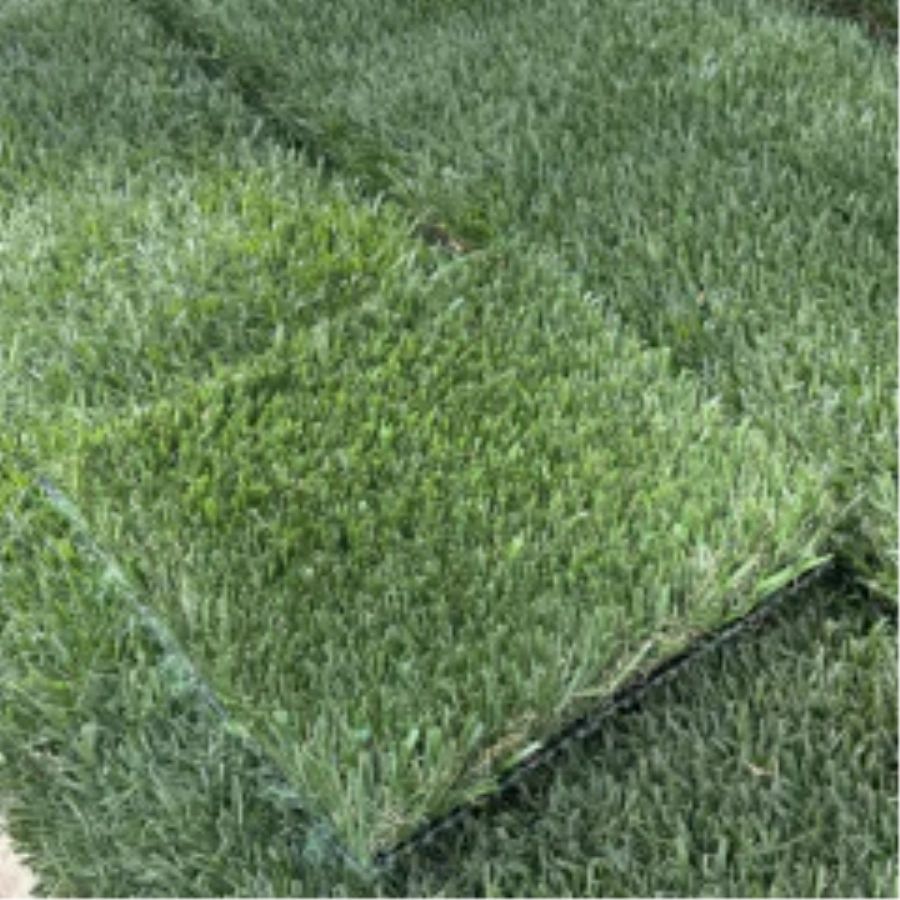 Introducing Wide Blade Turf in Atlanta