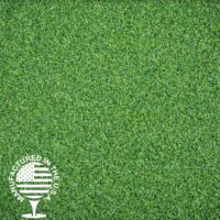 High-quality artificial grass lawn surface with uniform green blades.