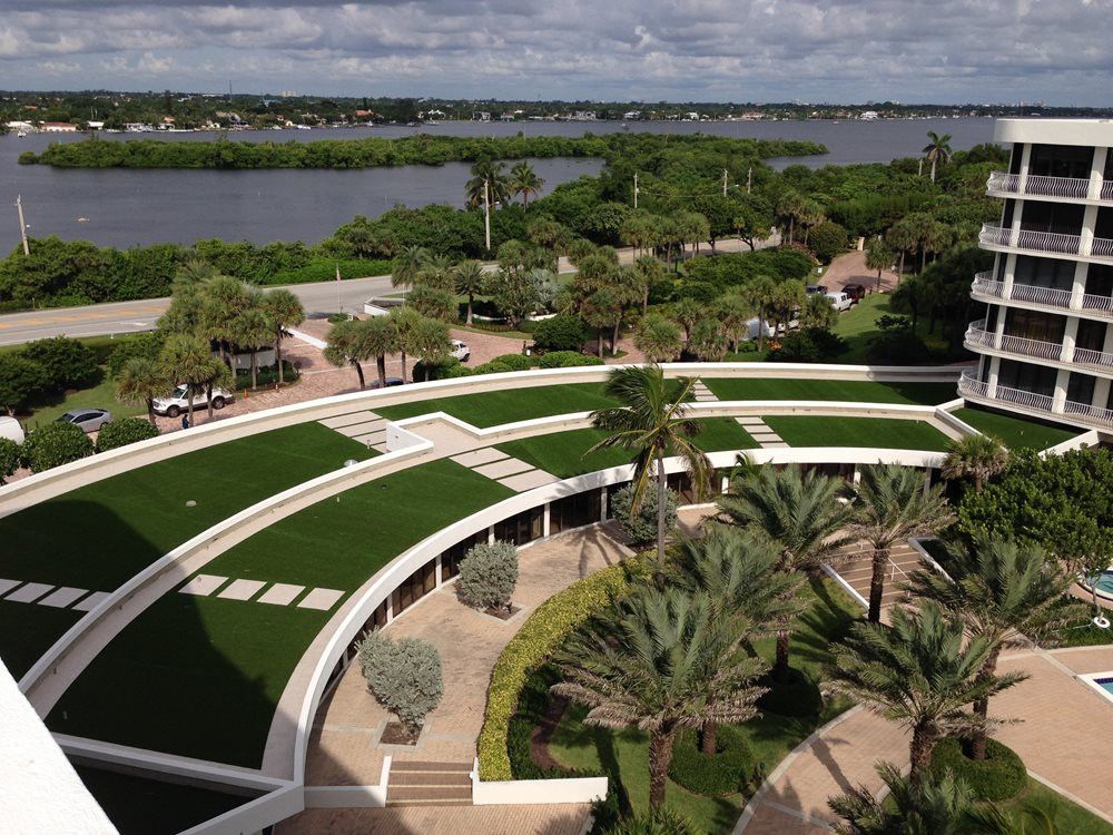 Atlanta commercial landscape turf