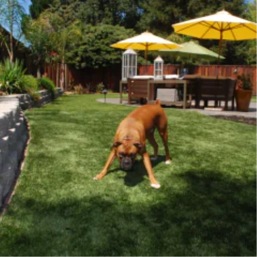 How fake grass for dogs Completely Changes Your Atlanta Yard
