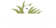 Southwest Greens of Atlanta logo